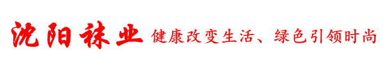 蓝颜gtv
